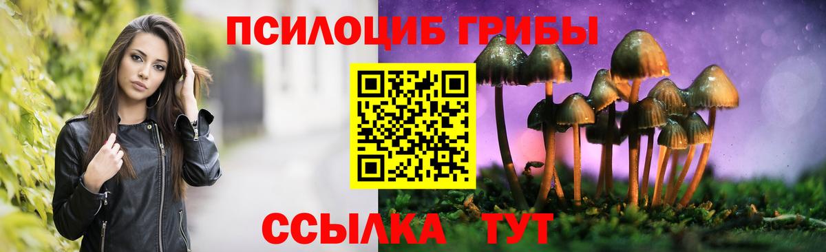 Псилоцибиновые грибы Cubensis  Вход с VPN  Каспийск 